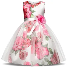 Girls Dress, Floral Girls Dress 1- 8 Yrs